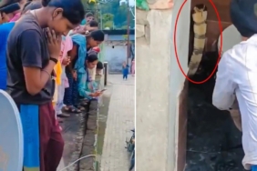 Hindistan'da Evin Tuvaletinde Ortaya Çıkan Dev Kobra Mahallede Panik Yarattı