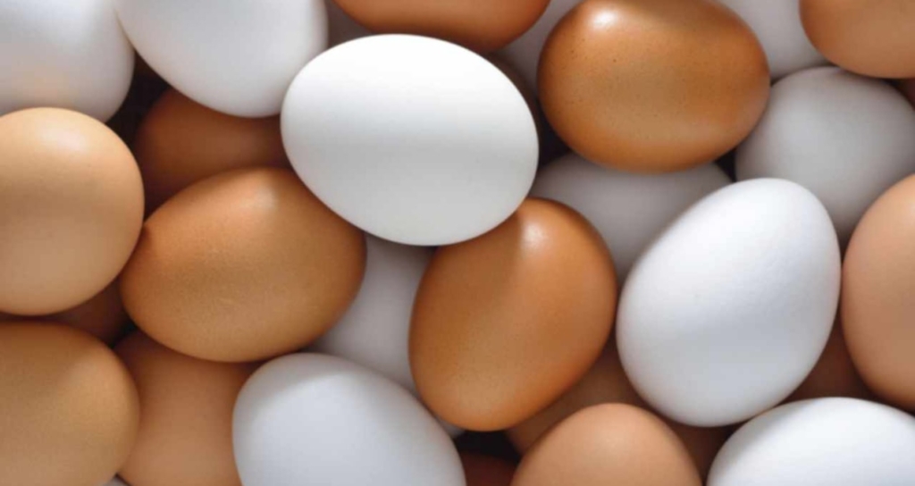 Yumurtada Besin Değerini Koruyan Pişirme Yöntemleri ve Kaçınılması Gereken Hatalar